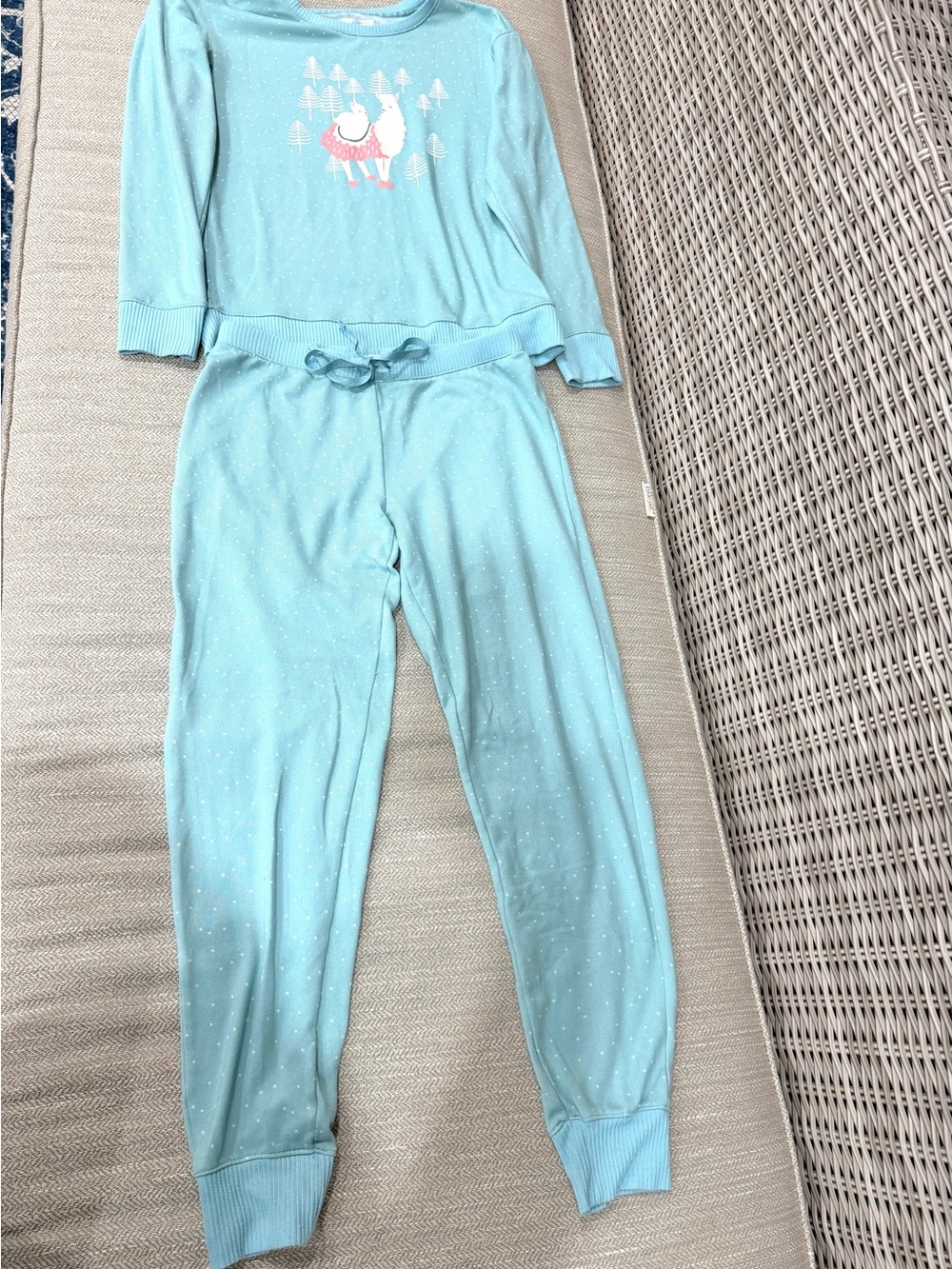 LC Lauren Conrad Mint Blue Llama Pajama Set